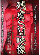 AEIL-188 Cruel SM Video