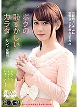 BOKD-032 My Embarrassing Body That Was Taught By A Neighbor's Uncle To Do Perverted Things Lindor Hoshikawa – Rindoru Hoshikawa