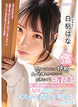 CAWD-174 It's Been Three Months Since Her Debut & First Creampie And She Can't Forget That Feeling… So She's Ready To Cum To The Capital For Another Film! She Wants To Try Subbing – Pussy Orgasms, Oral Orgasms – 3 Full Fucks Hana Shir