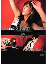 DFE-001 Re.Backs Shiho