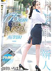 PRED-494 175cm Beautiful Legs Active CA AV Appearance! Kaga Iroha