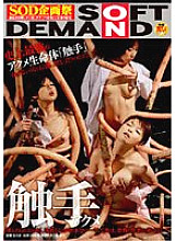 SDMS-327 Tentacle Acme