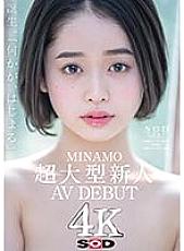 STARS-371 MINAMO Super Large Rookie AV DEBUT – Minamo