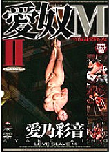 ADV-R0341 SM slave contract woman love slave MII