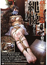 ADV-R0351 Secret Pictorials of play and Rope Pleasure, Part 13, Rope Journal: Perverted Young Wife Diary