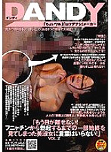 DANDY-131 "I Can't Take My Eyes Off Anymore! A Beautiful Lady Who Has Seen The Whole Story From Funyachin To Erection Needs No Words!" VOL.2