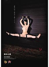 DASD-321 Iron Crimson 9 Kokoroharu Suzuki – Suzuki Koharu