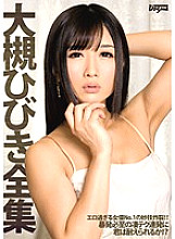 DDT-528 The Complete Works of Hibiki Otsuki