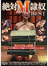 DDT-544 Absolute M Slave BEST