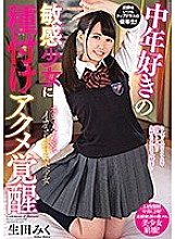 DLIS-013 Seeding acme awakening to a sensitive girl who likes middle-aged Miku Ikuta