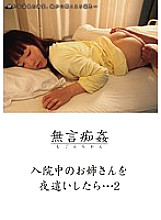 DMAT-032 Silent Molestation: When I playd my hospitalized sister at night… 2