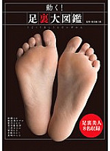 DOKS-390 Move! Foot sole encyclopedia – Mayu Sato