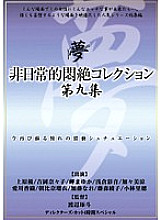 DPH-113 Extraordinary Agony Collection Vol.9