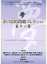 DPH-116 Extraordinary Agony Collection Vol.12