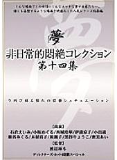 DPH-118 Extraordinary Agony Collection Vol.14