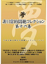 DPH-120 Extraordinary Agony Collection 16th Collection