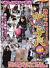 DSE-445 This Is A Real Mature Woman Dogeza Creampie Nampa IN Hanzomon