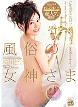 DV-963 Goddess Of Customs Tomi Sakuragawa