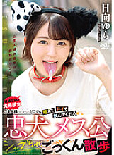 [UNCENSORED-LEAK] DVAJ-635 A loyal female dog who will suck it in her mouth and drink it anywhere for her master. Yura Hinata takes a walk and swallows cum.