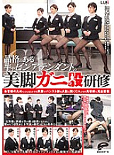 DVDES-726 Beautiful leg crab crotch training of a dignified cabin attendant Completely adhere to the demon training of CAs who boldly open pantyhose legs with a smile for customers at any time – Mori Nanako