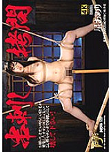 GTJ-095 Skewer play Hoshi Ameri