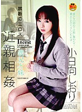 HAVD-433 Forbidden Eros play Brother-in-law And Sister Shiori Kohinata