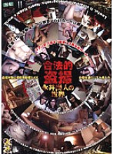 HNG-001 Legal Voyeur Naoto Nagai World