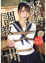IPZZ-653 I fell in love with my teacher and confessed my feelings to him, so as punishment I am being tied up and trained after school… But I am happy to be his slave. Wakana Sakura