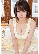Poster: KAWD-635 Rookie Kawaii Exclusive Debut Pitch Pichi Beautiful Breasts Hinanocchi Hinano Kikuchi Poster: KAWD-635 Rookie Kawaii Exclusive Debut Pitch Pichi Beautiful Breasts Hinanocchi Hinano Kikuchi