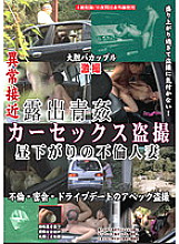 LHBB-098 Exposure Aokan Car Sex Voyeur