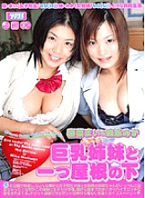 Poster: MDLD-388 Under One Roof With Busty Sisters Poster: MDLD-388 Under One Roof With Busty Sisters