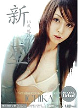 MIDD-182 Nova ICHIKA