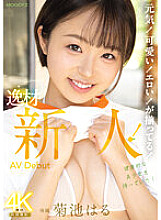 MIDV-541 fine! cute! Erotic! We have it all! Talented newcomer AVDebut Haru Kikuchi