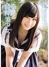 MUKD-422 Natural material Miraculous pure beautiful girl Sakura spree with rich SEX that can not be imagined