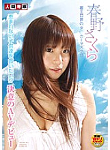NGKS-036 Determined AV Debut Sakura Haruno