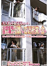 NHDT-740 If you want to have affair sex with a beautiful wife, live in a public housing and take a peek and have a fierce neighborhood fight
