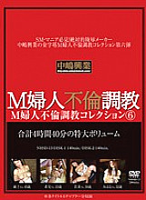 NHSD-013 M Woman Affair play Collection 6
