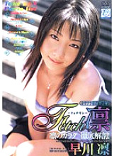 NOV-8342 Fetch Rin Hayakawa Rin