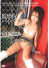 NWF-062 Confinement Restraint Shaved Pussy Acme Kokoro Igarashi