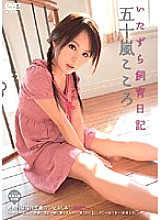 NWF-105 Naughty Breeding Diary Kokoro Igarashi