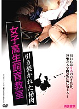 NXG-104 School Girls Breeding Class Torn Secret Meat