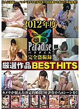 NXG-259 Paradise's Best Hits of 2012