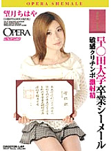 OPUD-077 Hayaden University Graduated Shemale Chihaya Mochizuki