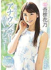 PRED-244 Local Newscaster Porn Debut, Kano Kashii – Kashii Hanano