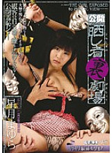 PTS-022 Public Exposing Person's Back Theater Hoshizuki Mayura