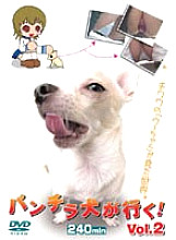 PUROD-072 Panchira dog goes! Vol.2