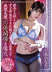 RBD-999 My Coworker The New Hire Agreed To Be My Girlfriend So Now I Can Have Her Whenever I Want. Hinata Koizumi