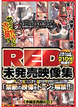 REZD-003 Pretty dangerous big public! RED Unreleased Video Collection
