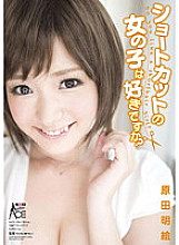 SACE-096 Do you like short girls? Akie Harada