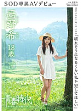 SDAB-002 "I want you to commit me so much that it seems to break" Nozomi Nishino 18 years old SOD exclusive AV debut